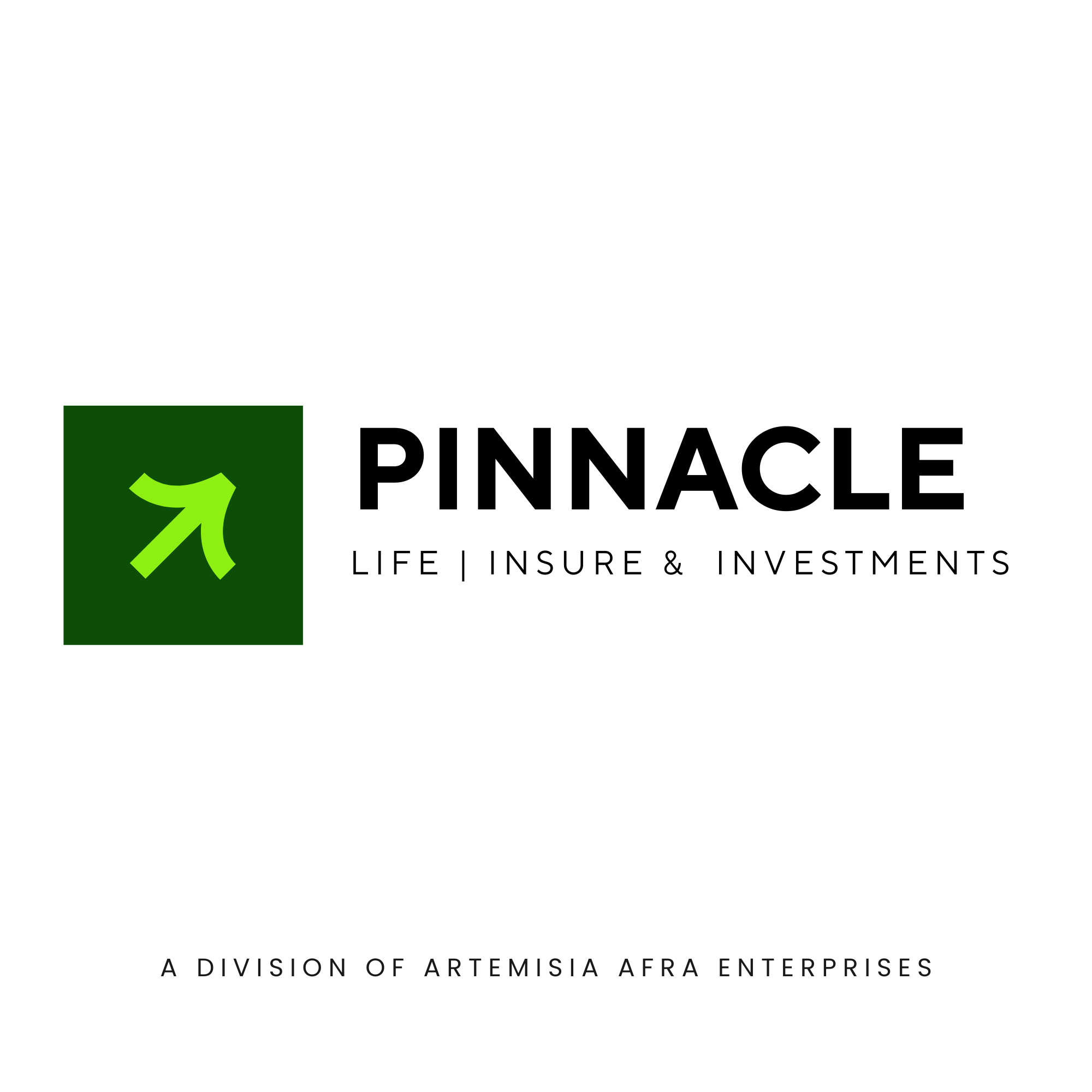 Pinnacle Life & Investment